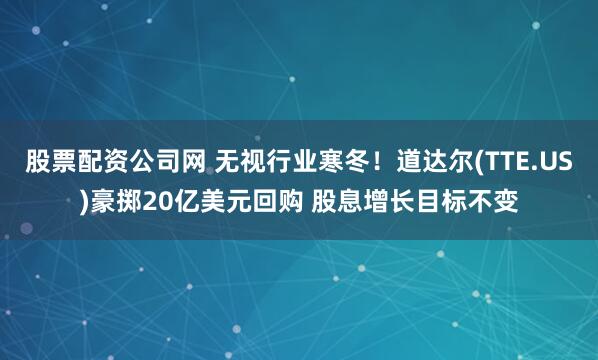 股票配资公司网 无视行业寒冬！道达尔(TTE.US)豪掷20亿美元回购 股息增长目标不变